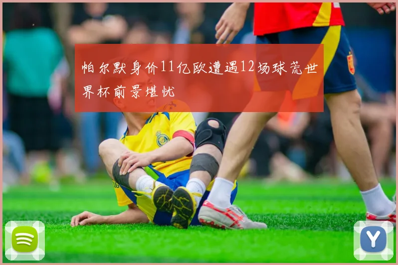 帕尔默身价11亿欧遭遇12场球荒世界杯前景堪忧