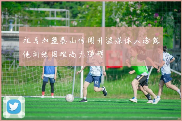 祖马加盟泰山传闻升温媒体人透露他训练困难尚无障碍